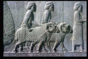 Détail de la frise en relief sur l